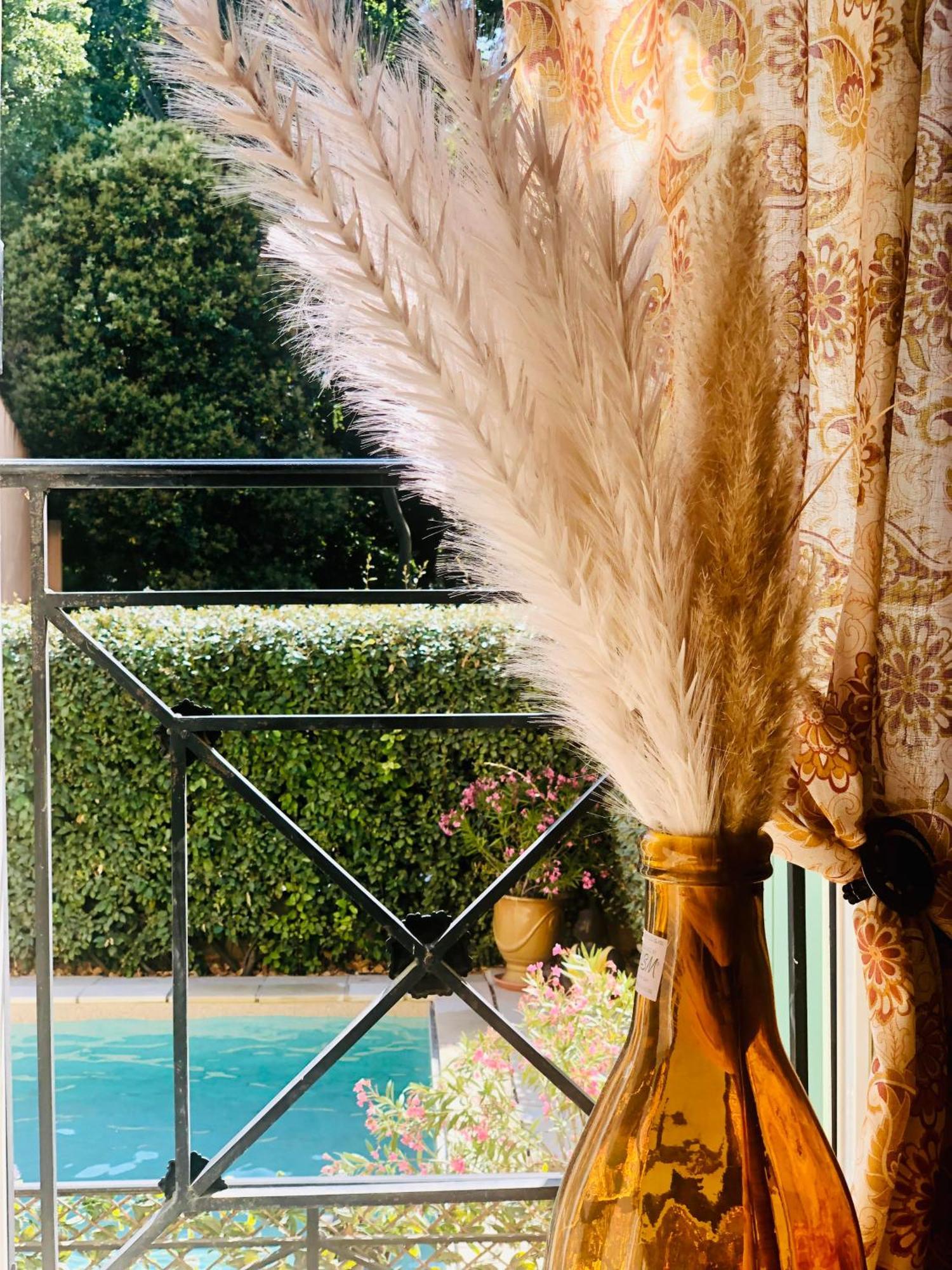 Logis Hotel Et Restaurant La Bastide Cabezac Bize-Minervois Esterno foto